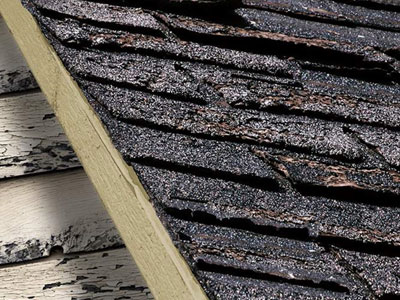 Midnight Roofing and Restoration Images